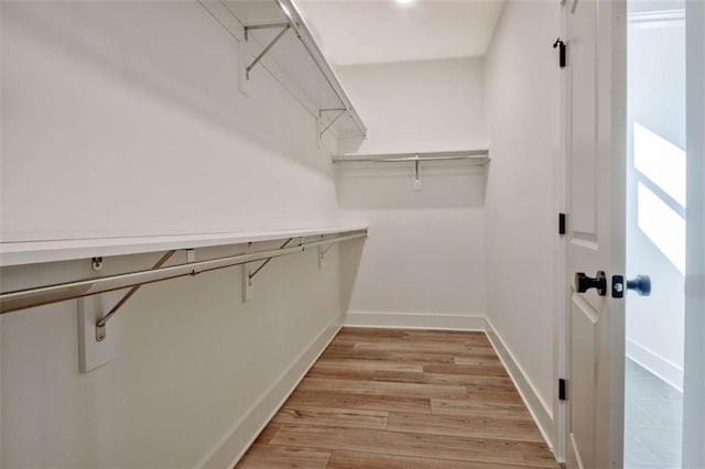 spacious closet with light wood-type flooring