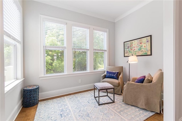 1964 Attell Way, Decatur, GA 30033 - living area with plenty of natural light, baseboards, and light wood-style flooring