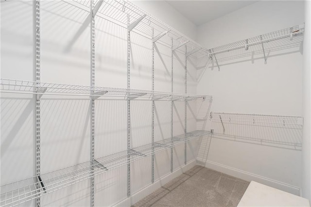 1964 Attell Way, Decatur, GA 30033 - walk in closet with carpet flooring
