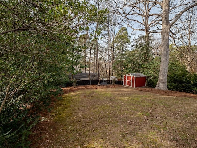 view of yard featuring a storage shed