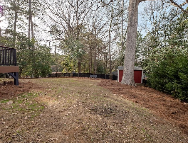 view of yard with a storage shed