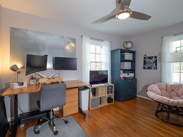 home office featuring ceiling fan and light wood-type flooring