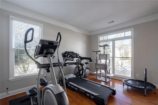 workout room with hardwood / wood-style flooring and ornamental molding