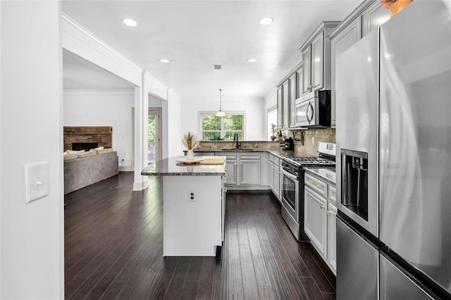 908 Rainsong Ct, Braselton, GA 30517 - kitchen with stainless steel appliances, a stone fireplace, recessed lighting, dark wood-style floors, and decorative light fixtures