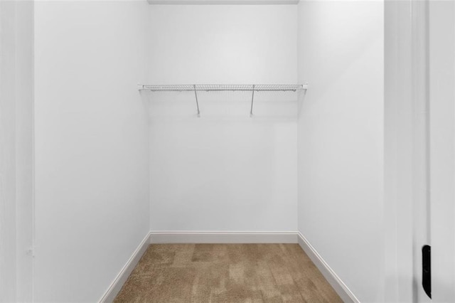 908 Rainsong Ct, Braselton, GA 30517 - walk in closet with light colored carpet