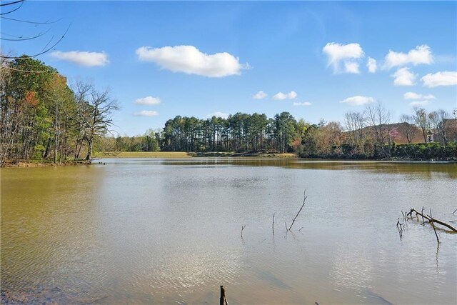 2026 Ellison Way NW Unit 13, Kennesaw, GA 30152 - water view