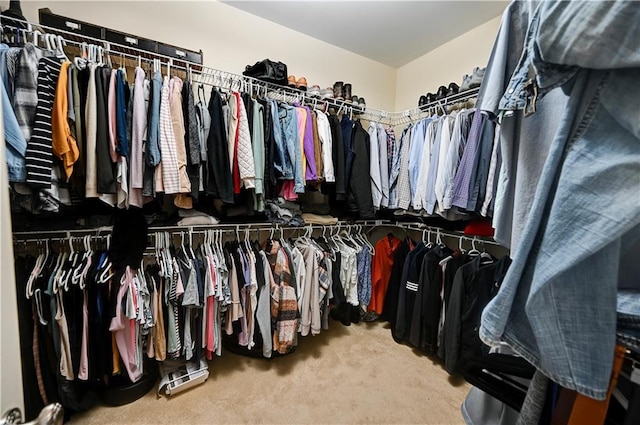 spacious closet featuring carpet