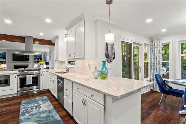kitchen featuring dark wood finished floors, island exhaust hood, stainless steel appliances, a sink, and a peninsula