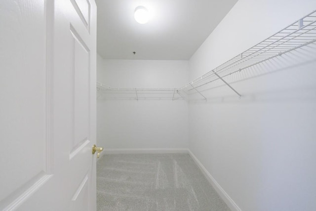 50 Biscayne Dr Unit 2106, Atlanta, GA 30309 - walk in closet featuring carpet floors