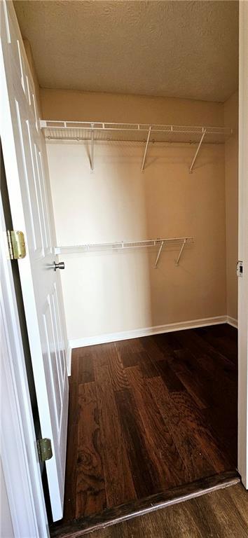 walk in closet featuring wood-type flooring