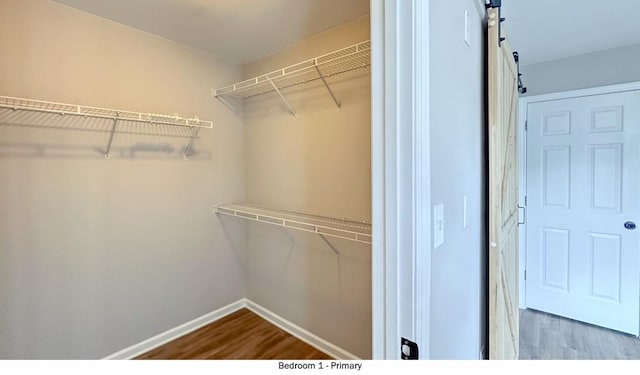 walk in closet featuring wood finished floors and a barn door