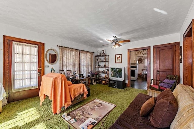 living room featuring ceiling fan and a textured ceiling