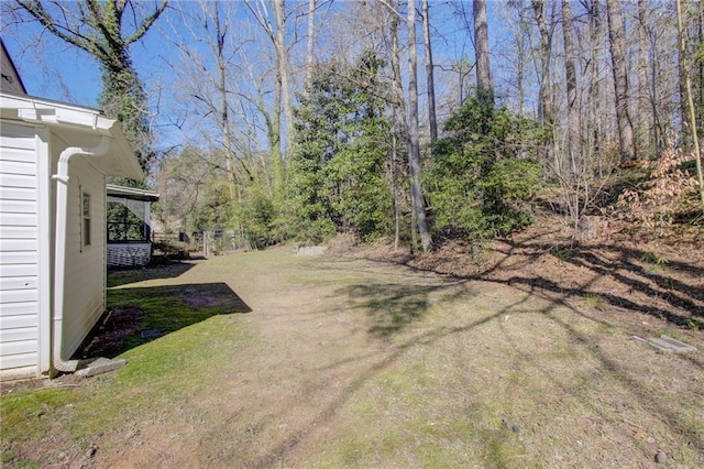 view of yard
