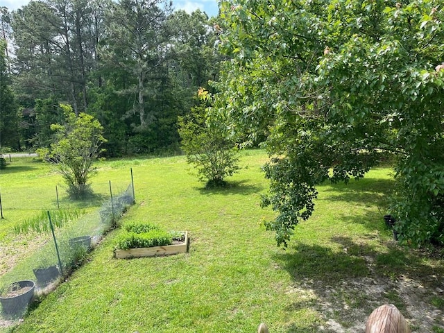 view of yard with fence and a vegetable garden