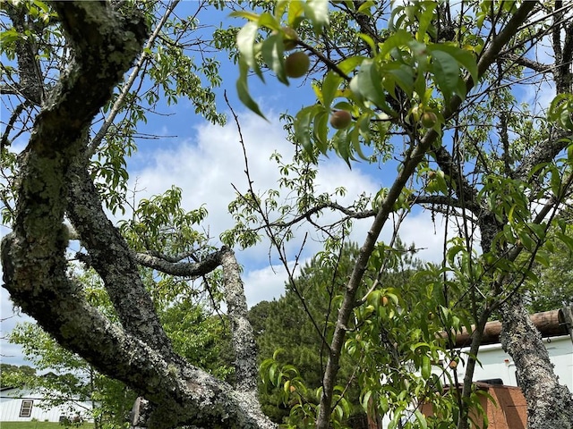 view of landscape