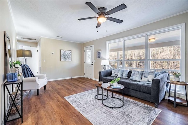 living room with crown molding, dark wood-type flooring, and a textured ceiling