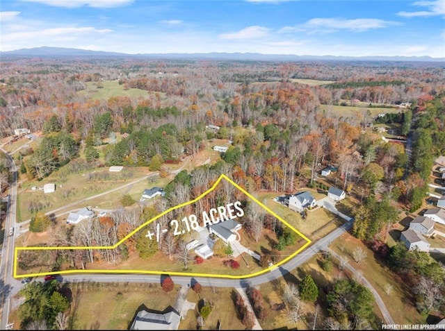 6045 Mockingbird Rd, Cumming, GA 30028 - drone / aerial view with a view of trees