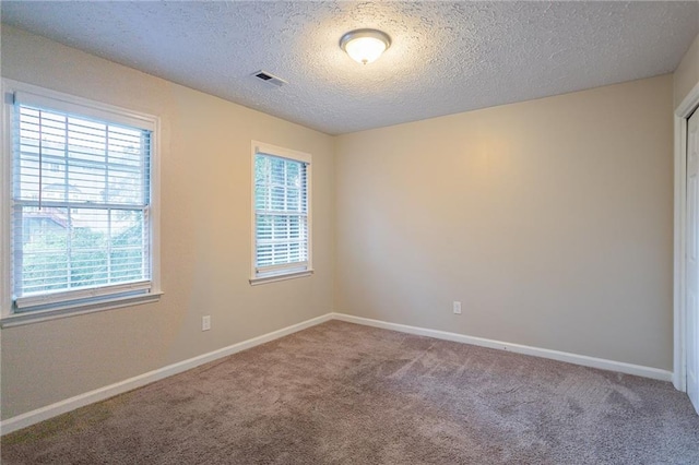 carpeted spare room with a wealth of natural light and a textured ceiling