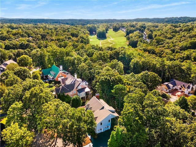 51 River Overlook Ct, Dawsonville, GA 30534 - drone / aerial view of a forest