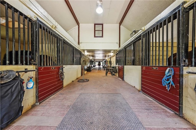 view of horse barn