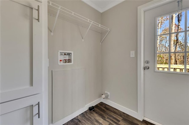 clothes washing area featuring hookup for a washing machine and dark hardwood / wood-style floors