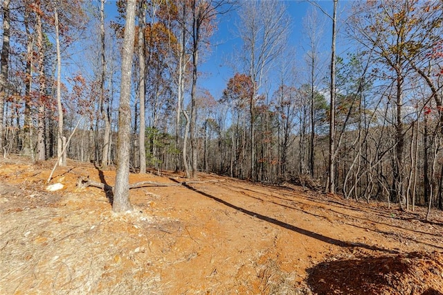 view of landscape