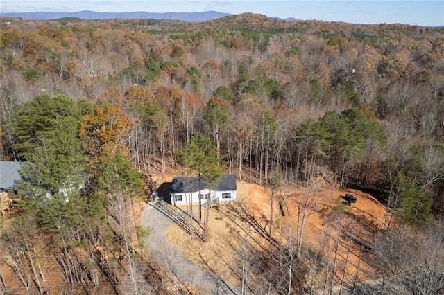 birds eye view of property featuring a mountain view