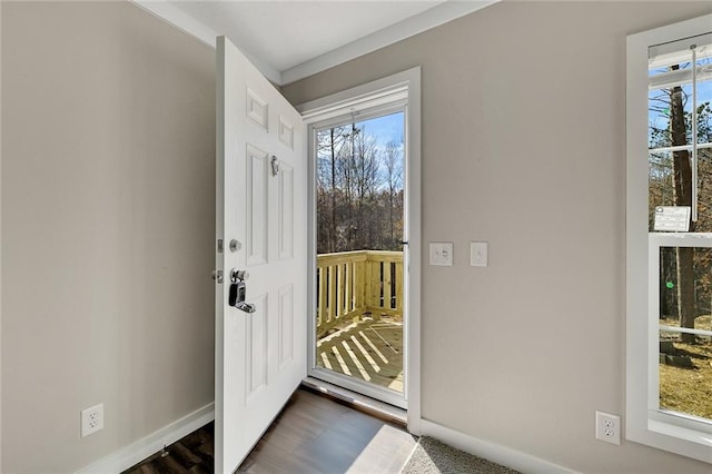 interior space featuring dark hardwood / wood-style floors and a wealth of natural light