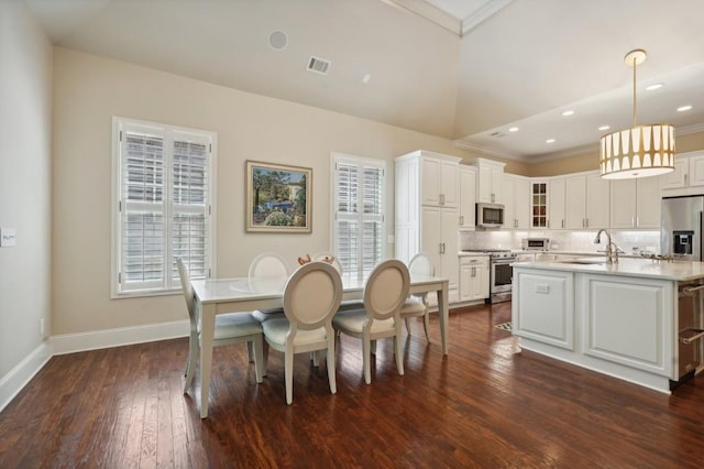 kitchen with dark wood-type flooring, stainless steel appliances, a wealth of natural light, and pendant lighting