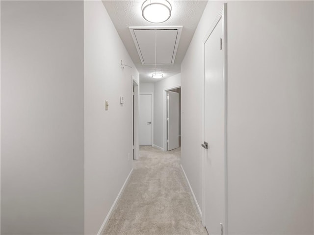 hall featuring light colored carpet and a textured ceiling