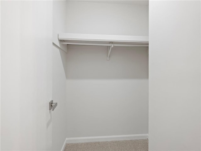 walk in closet featuring light carpet