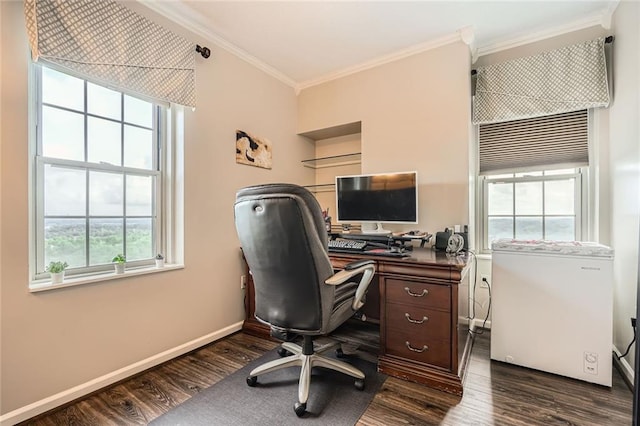 office space with crown molding, baseboards, and dark wood-type flooring