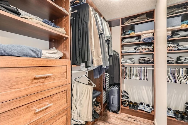 walk in closet featuring wood finished floors