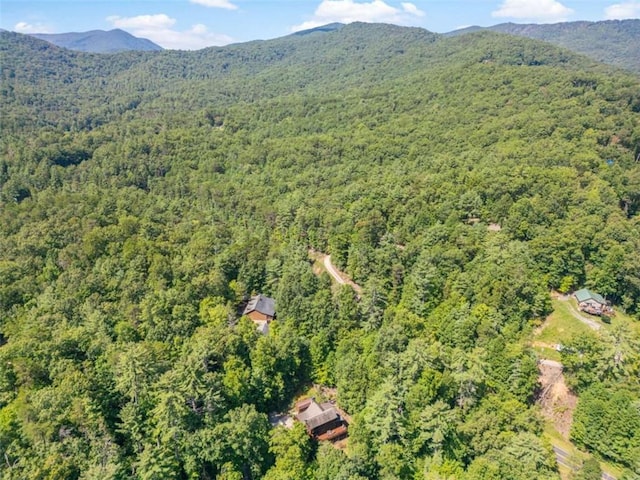 drone / aerial view featuring a mountain view