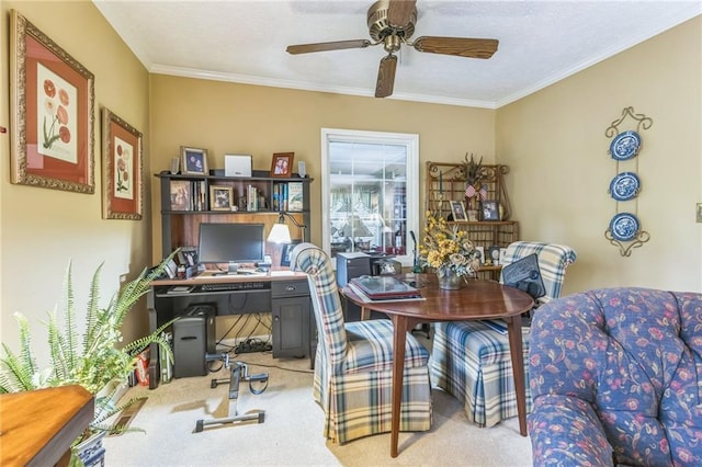 carpeted office with ceiling fan and ornamental molding