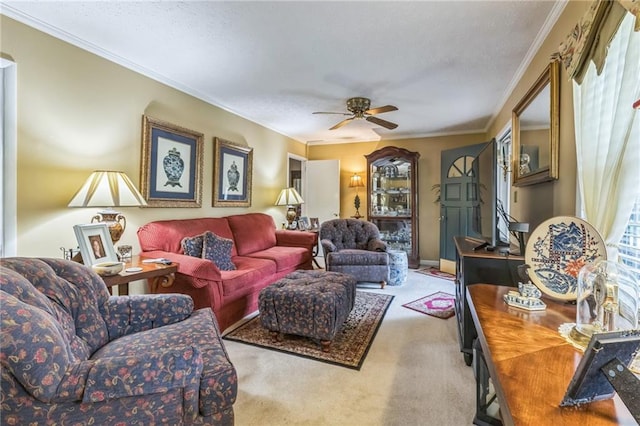 living area featuring a ceiling fan, a textured ceiling, ornamental molding, and carpet
