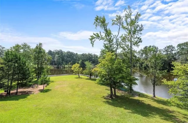 view of community with a water view and a yard