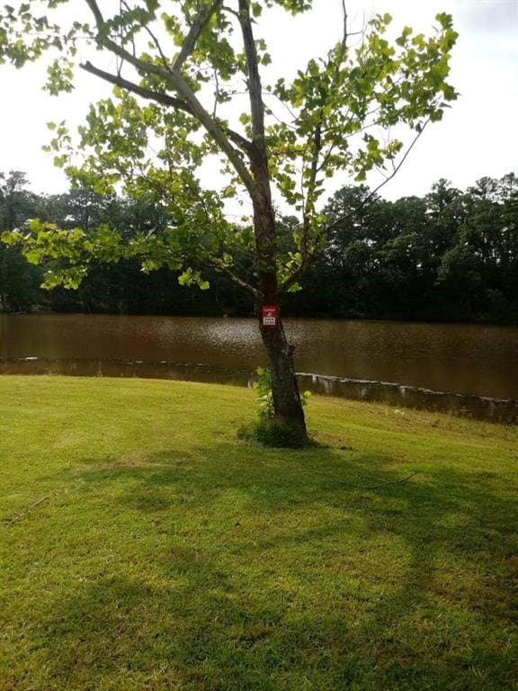 view of yard featuring a water view