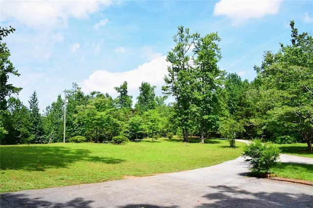 view of community with a yard