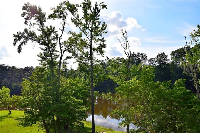 water view with a forest view