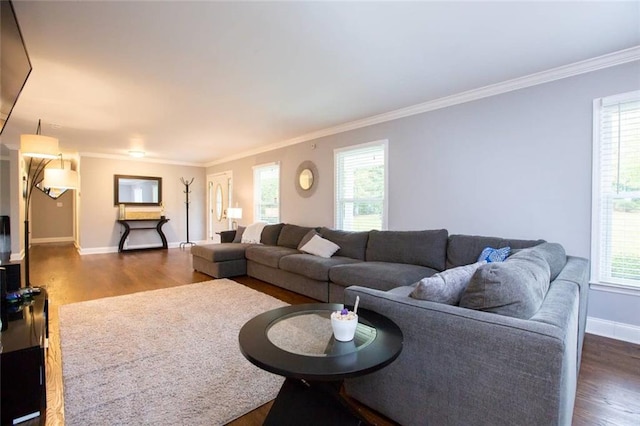 living area featuring dark wood-style floors, baseboards, ornamental molding, and a wealth of natural light