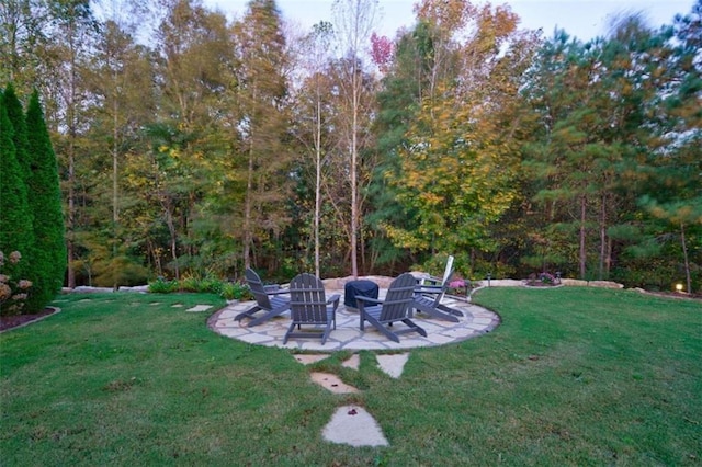 view of yard featuring a patio