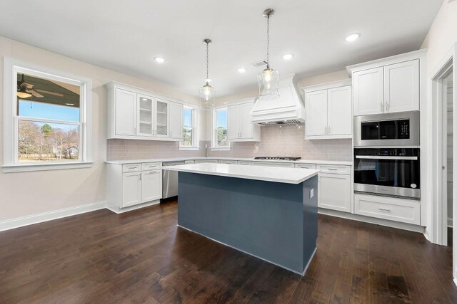 kitchen with custom exhaust hood, dark hardwood / wood-style flooring, decorative backsplash, and stainless steel appliances