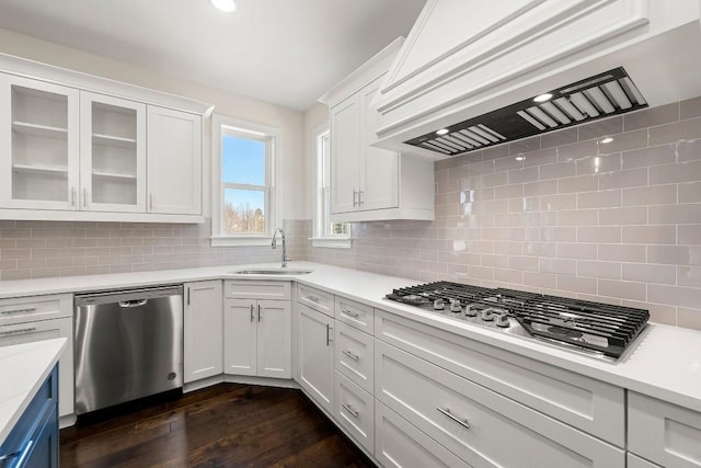 kitchen featuring appliances with stainless steel finishes, dark wood-type flooring, custom exhaust hood, and decorative backsplash