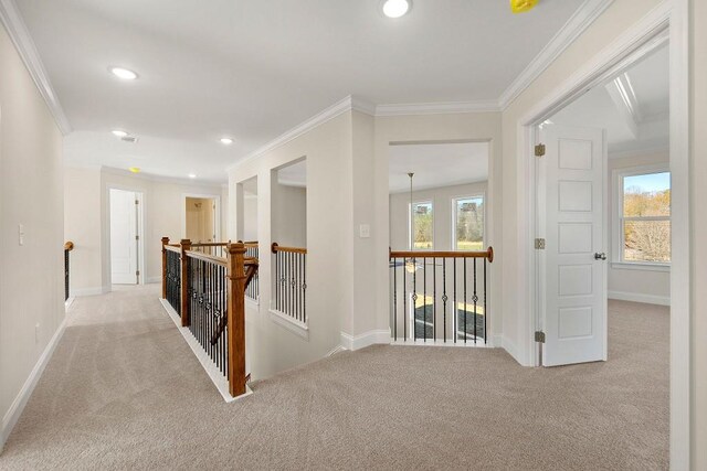 hallway featuring light carpet, a healthy amount of sunlight, and ornamental molding