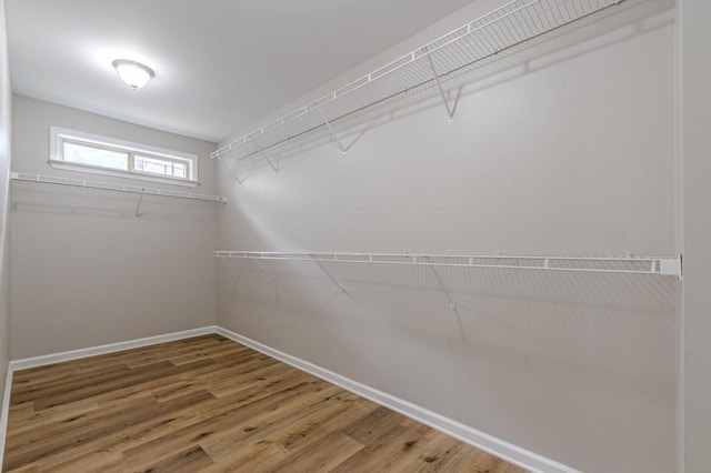 walk in closet featuring wood-type flooring