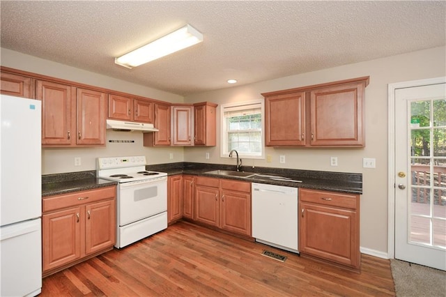 kitchen featuring white appliances, plenty of natural light, dark hardwood / wood-style floors, and sink