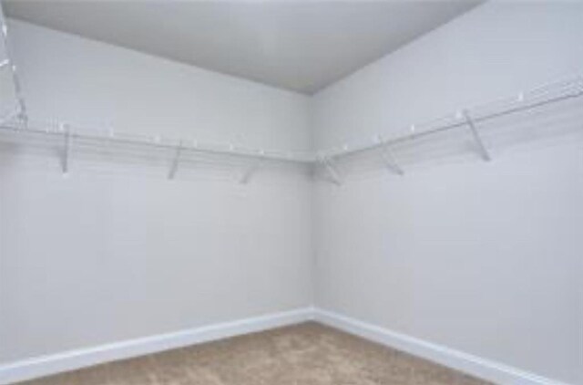 walk in closet featuring carpet