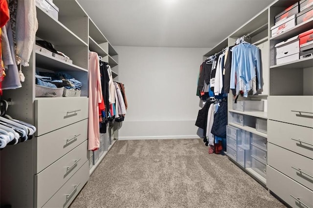 372 Garnet Dr, Acworth, GA 30101 - walk in closet with carpet floors