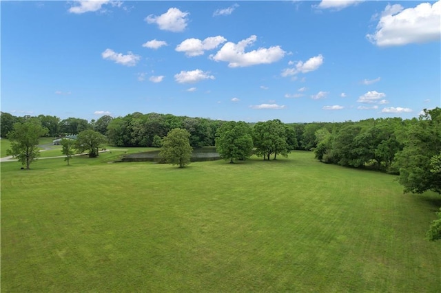 14501 Woolsey Rd, Hampton, GA 30228 - view of green lawn
